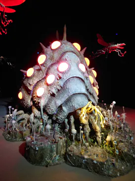 金曜ロードショーとジブリ展（静岡展）に投稿された画像（2025/12/20）