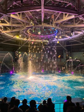 マクセル アクアパーク品川に投稿された画像（2025/12/20）