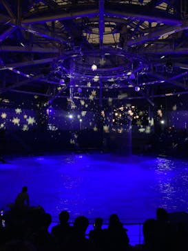 マクセル アクアパーク品川に投稿された画像（2025/12/20）