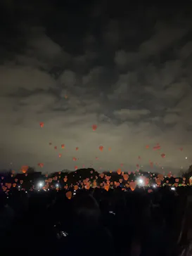 大泉緑地サンクスランタンに投稿された画像（2025/12/20）