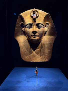 ACN ラムセス大王展 ファラオたちの黄金に投稿された画像（2025/12/20）