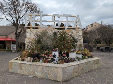 NESTA RESORT KOBE（ネスタリゾート神戸）に投稿された画像（2025/12/20）