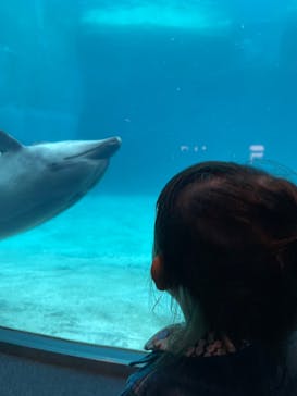 名古屋港水族館に投稿された画像（2025/12/20）