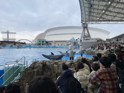 名古屋港水族館に投稿された画像（2025/12/20）