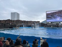 名古屋港水族館に投稿された画像（2025/12/20）