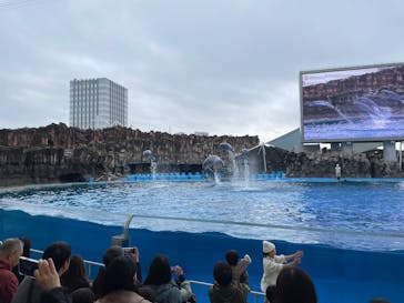 名古屋港水族館に投稿された画像（2025/12/20）
