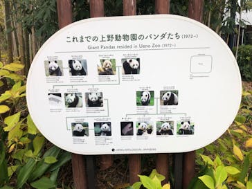 恩賜上野動物園に投稿された画像（2025/12/20）
