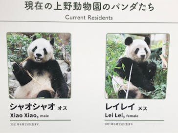 恩賜上野動物園に投稿された画像（2025/12/20）