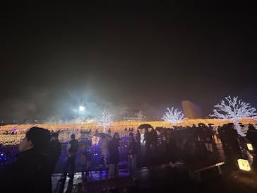 東京メガイルミに投稿された画像（2025/12/20）