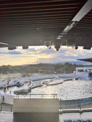 京都水族館×ニデック京都タワーに投稿された画像（2025/12/20）