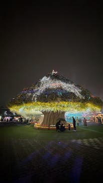 東京メガイルミに投稿された画像（2025/12/20）