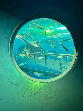 滋賀県立琵琶湖博物館に投稿された画像（2025/12/20）