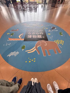 滋賀県立琵琶湖博物館に投稿された画像（2025/12/20）