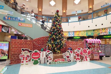 浜名湖パルパルに投稿された画像（2025/12/20）