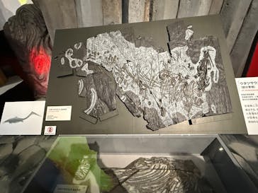 特別展「大絶滅展―生命史のビッグファイブ」に投稿された画像（2025/12/20）