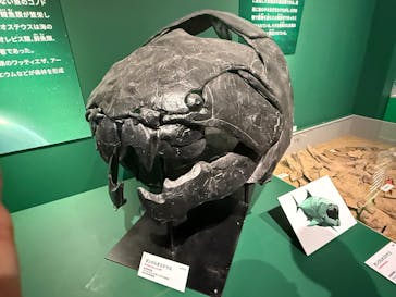 特別展「大絶滅展―生命史のビッグファイブ」に投稿された画像（2025/12/20）