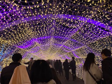 東京メガイルミに投稿された画像（2025/12/20）