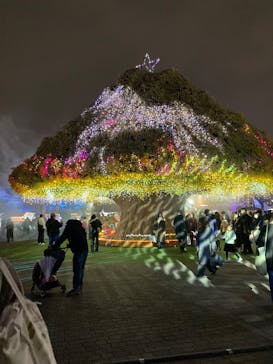 東京メガイルミに投稿された画像（2025/12/20）