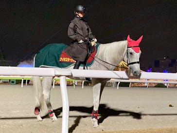 東京メガイルミに投稿された画像（2025/12/20）