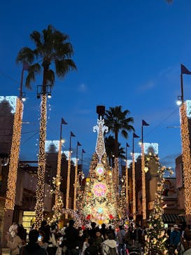 ひらかたパークに投稿された画像（2025/12/20）