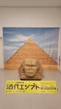 ブルックリン博物館所蔵 特別展 古代エジプト ー掘り起こせ、三千年の謎― 福岡会場に投稿された画像（2025/12/20）