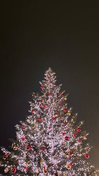 Christmas Market in 横浜赤レンガ倉庫 2025に投稿された画像（2025/12/20）