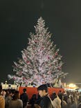 Christmas Market in 横浜赤レンガ倉庫 2025に投稿された画像（2025/12/20）