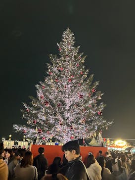 Christmas Market in 横浜赤レンガ倉庫 2025に投稿された画像（2025/12/20）