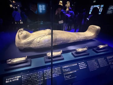 ACN ラムセス大王展 ファラオたちの黄金に投稿された画像（2025/12/20）