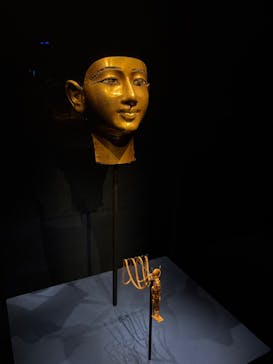 ACN ラムセス大王展 ファラオたちの黄金に投稿された画像（2025/12/20）