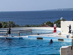 沖縄美ら海水族館に投稿された画像（2025/12/20）