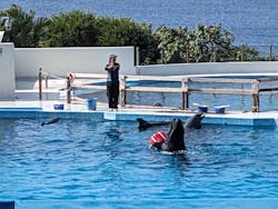 沖縄美ら海水族館に投稿された画像（2025/12/20）