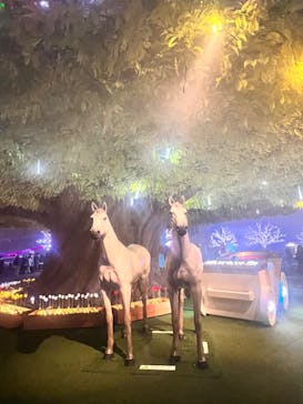 東京メガイルミに投稿された画像（2025/12/20）