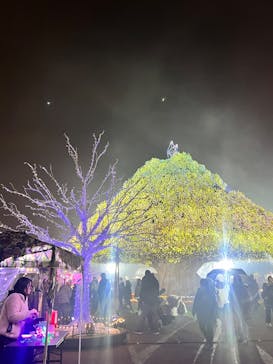 東京メガイルミに投稿された画像（2025/12/20）