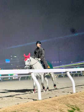 東京メガイルミに投稿された画像（2025/12/20）