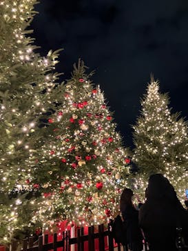 Christmas Market in 横浜赤レンガ倉庫 2025に投稿された画像（2025/12/20）