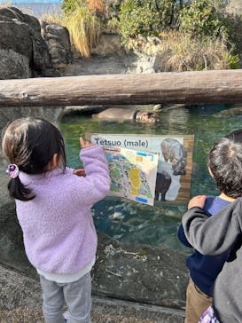 天王寺動物園に投稿された画像（2025/12/20）