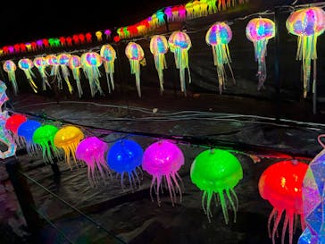 伊豆高原グランイルミに投稿された画像（2025/12/20）