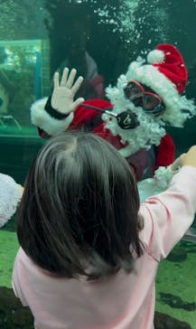 栃木県なかがわ水遊園に投稿された画像（2025/12/20）