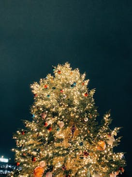 Christmas Market in 横浜赤レンガ倉庫 2025に投稿された画像（2025/12/20）