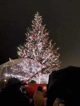 Christmas Market in 横浜赤レンガ倉庫 2025に投稿された画像（2025/12/20）