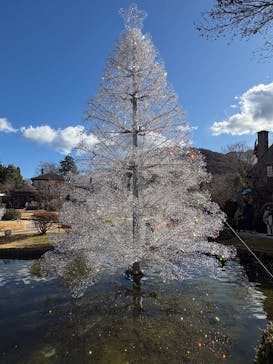 箱根ガラスの森美術館に投稿された画像（2025/12/21）