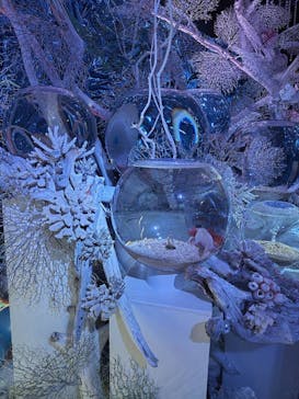 ひらかたパークに投稿された画像（2025/12/21）