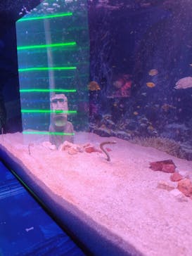 ひらかたパークに投稿された画像（2025/12/21）