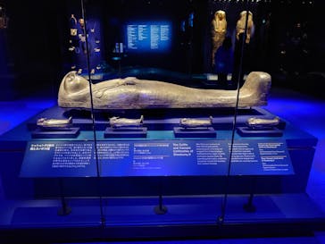 ACN ラムセス大王展 ファラオたちの黄金に投稿された画像（2025/12/21）
