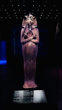 ACN ラムセス大王展 ファラオたちの黄金に投稿された画像（2025/12/21）