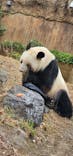恩賜上野動物園に投稿された画像（2025/12/21）