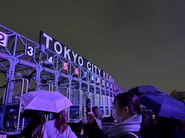 東京メガイルミに投稿された画像（2025/12/21）