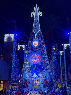 ひらかたパークに投稿された画像（2025/12/21）