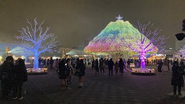 東京メガイルミに投稿された画像（2025/12/21）